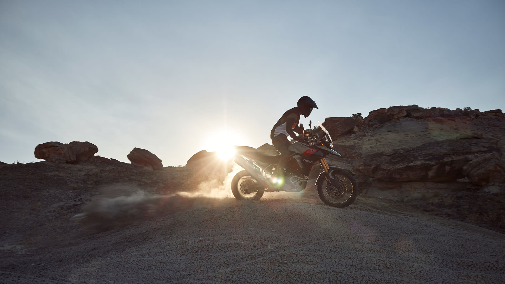 Tiger 2025 new bike